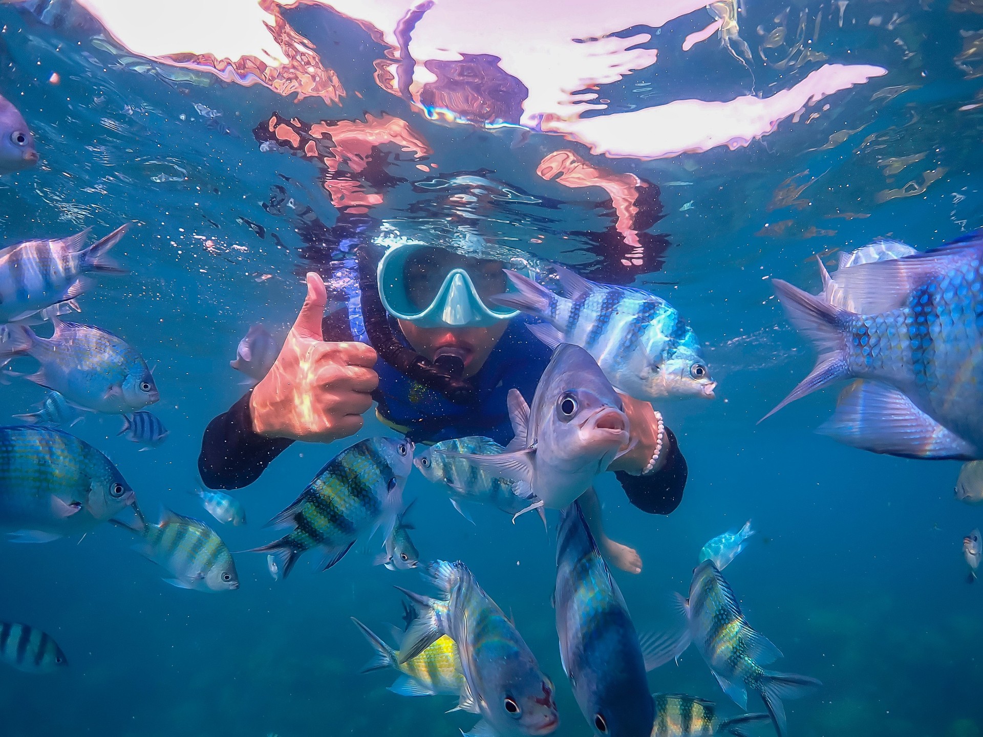 Freediver Swimming in Deep Sea DIver Eploring Sea Life.